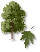 Colordo tree service